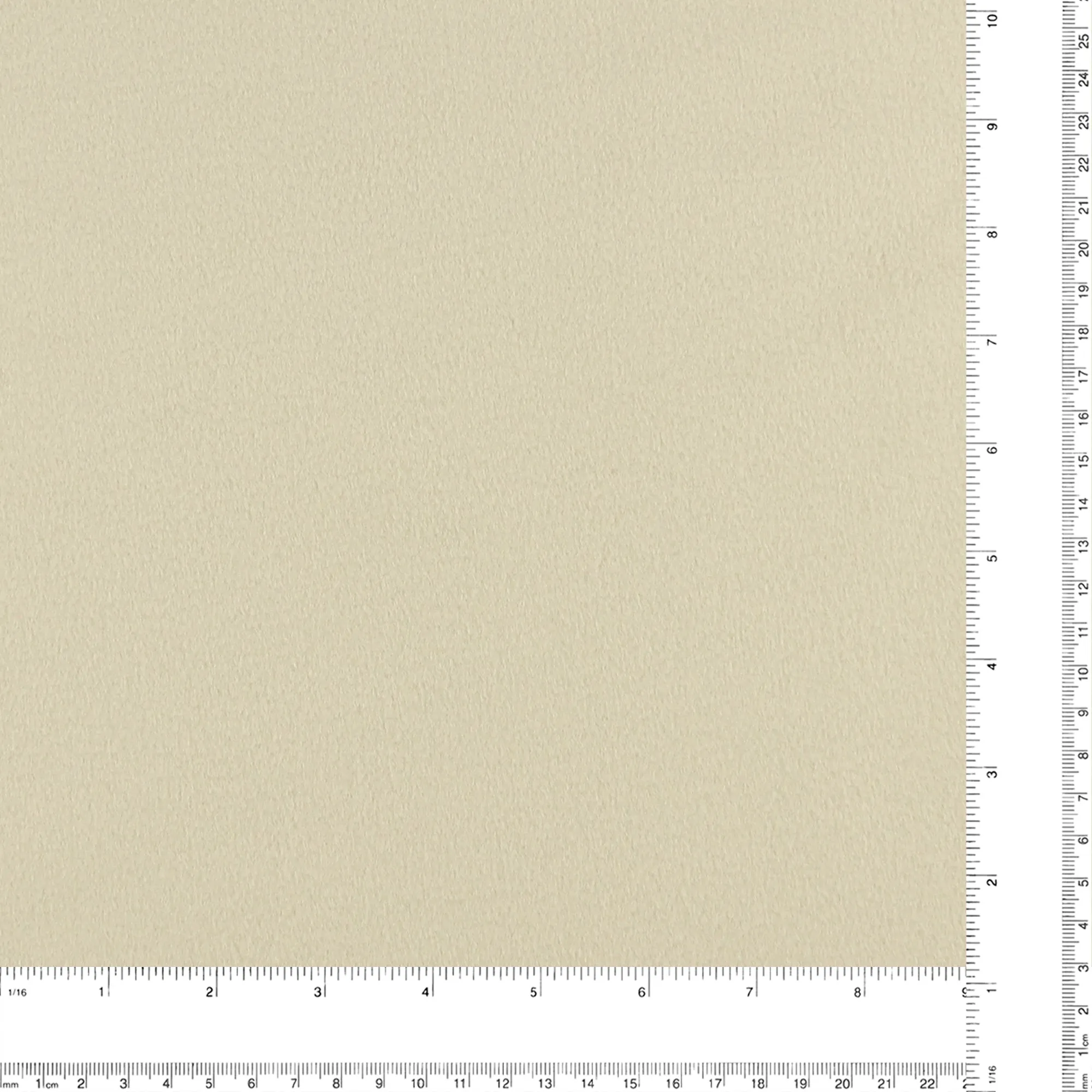 Coating - Westminster - 001 - Bone
