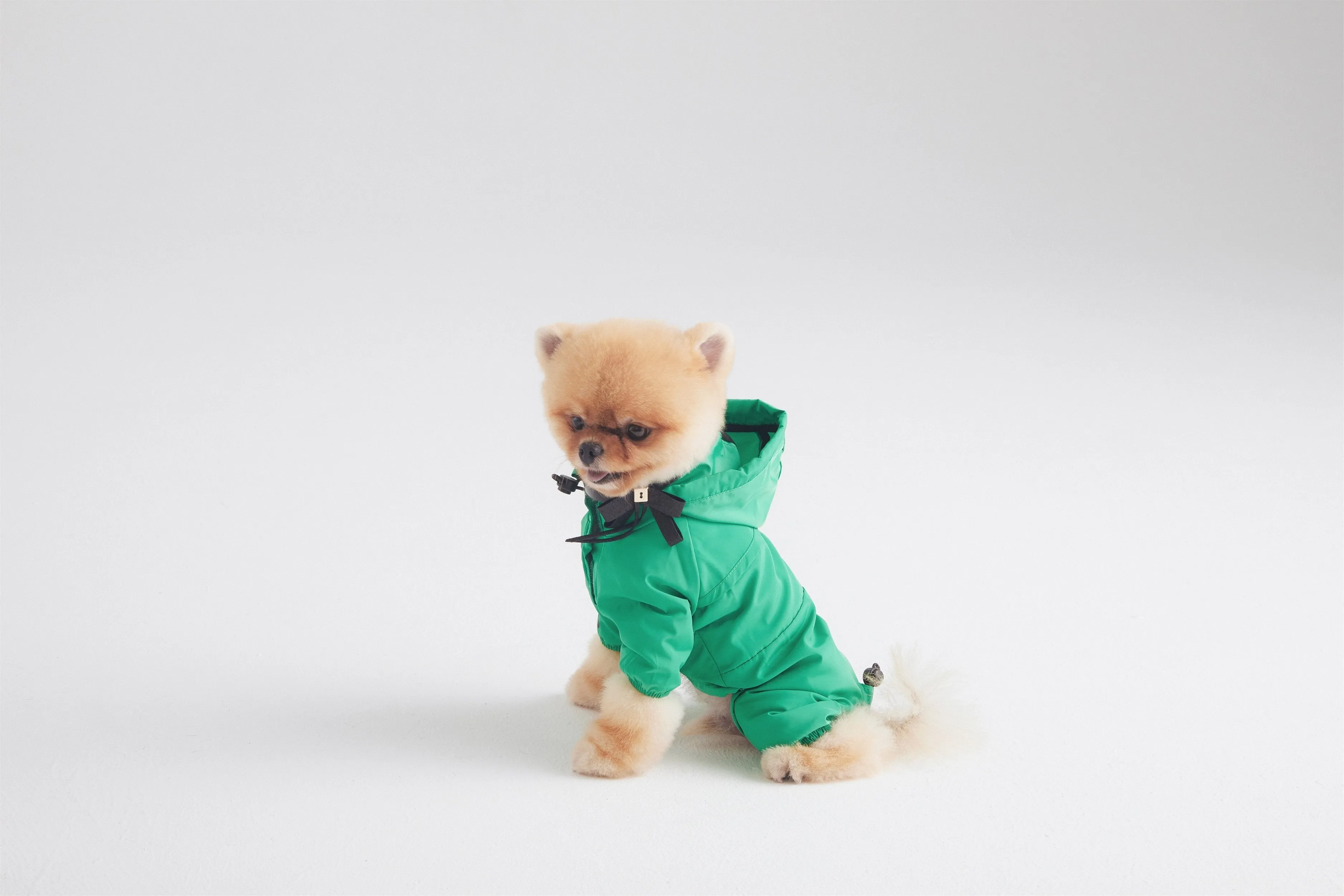 Thin Coat (Mint Green)